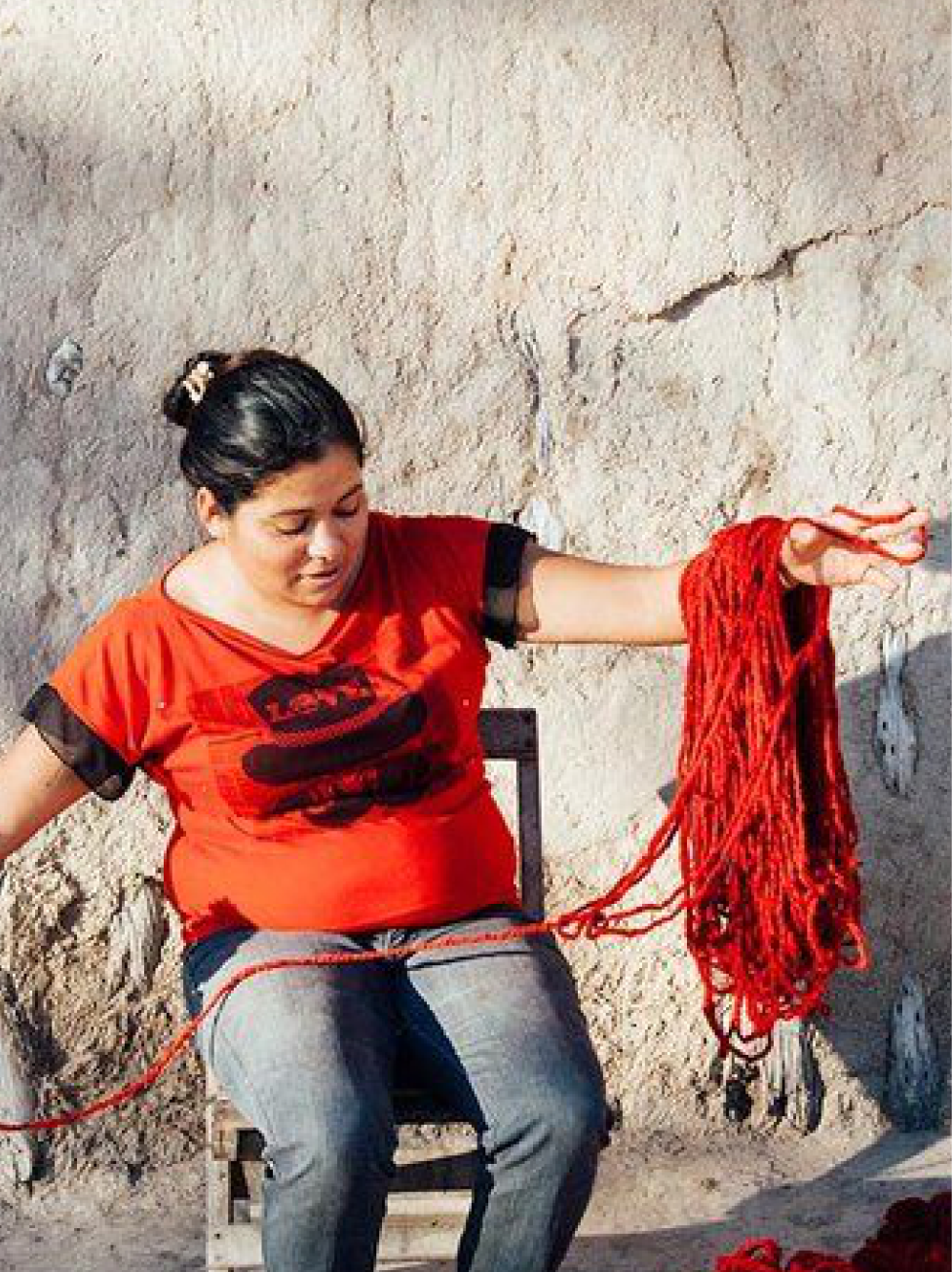 Maker with alpaca fiber